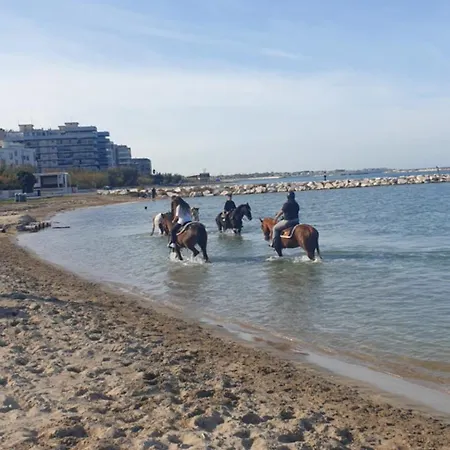 Corte 5 Case de vacanță *
