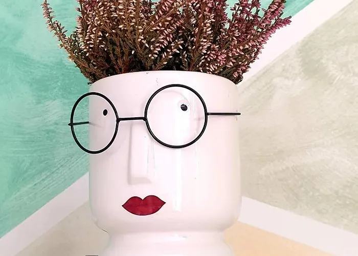 Corte 5 Case de vacanță *