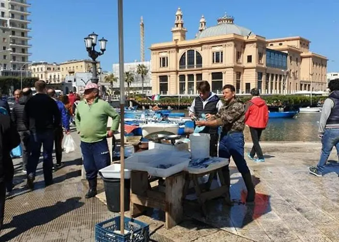 Corte 5 Case de vacanță *