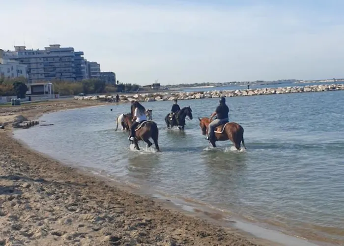 Corte 5 Case de vacanță *